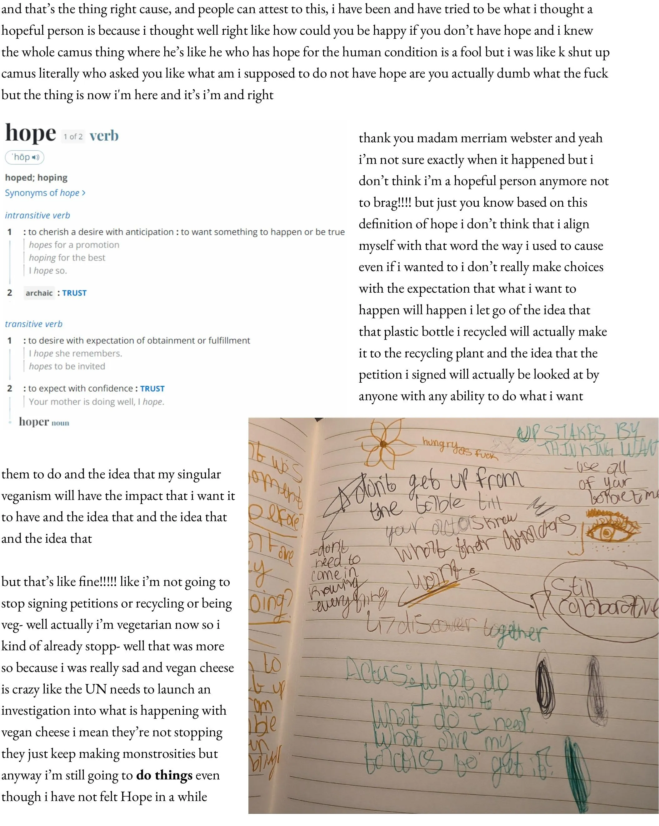 and that’s the thing right cause, and people can attest to this, i have been and have tried to be what i thought a hopeful person is because i thought well right like how could you be happy if you don’t have hope and i knew the whole camus thing where he’s like he who has hope for the human condition is a fool but i was like k shut up camus literally who asked you like what am i supposed to do not have hope are you actually dumb what the fuck but the thing is now i'm here and it’s i’m and right  thank you madam merriam webster and yeah i’m not sure exactly when it happened but i don’t think i’m a hopeful person anymore not to brag!!!! but just you know based on this definition of hope i don’t think that i align myself with that word the way i used to cause even if i wanted to i don’t really make choices with the expectation that what i want to happen will happen i let go of the idea that that plastic bottle i recycled will actually make it to the recycling plant and the idea that the petition i signed will actually be looked at by anyone with any ability to do what i want   them to do and the idea that my singular veganism will have the impact that i want it to have and the idea that and the idea that and the idea that  but that’s like fine!!!!! like i’m not going to stop signing petitions or recycling or being veg- well actually i’m vegetarian now so i kind of already stopp- well that was more so because i was really sad and vegan cheese is crazy like the UN needs to launch an investigation into what is happening with vegan cheese i mean they’re not stopping they just keep making monstrosities but anyway i’m still going to do things even